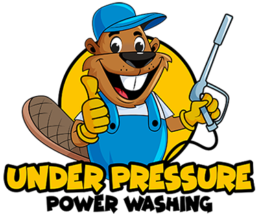 Under Pressure Power Washing SFL Logo